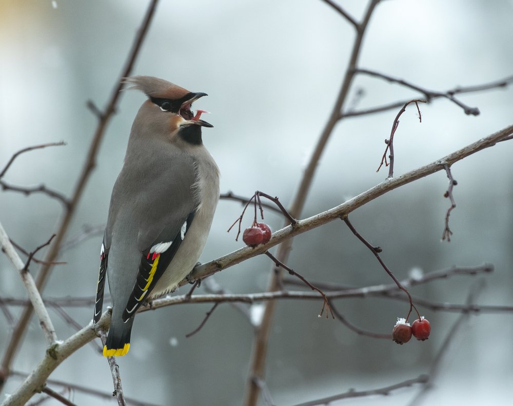 Photograph by Владислав Костылев