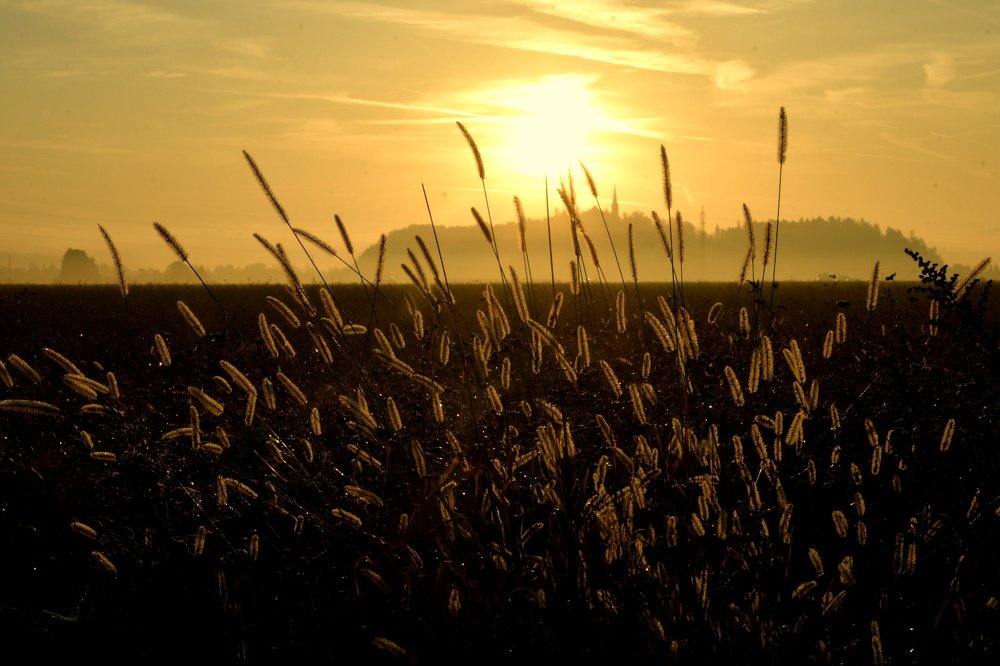 Photograph by Lojze Burja