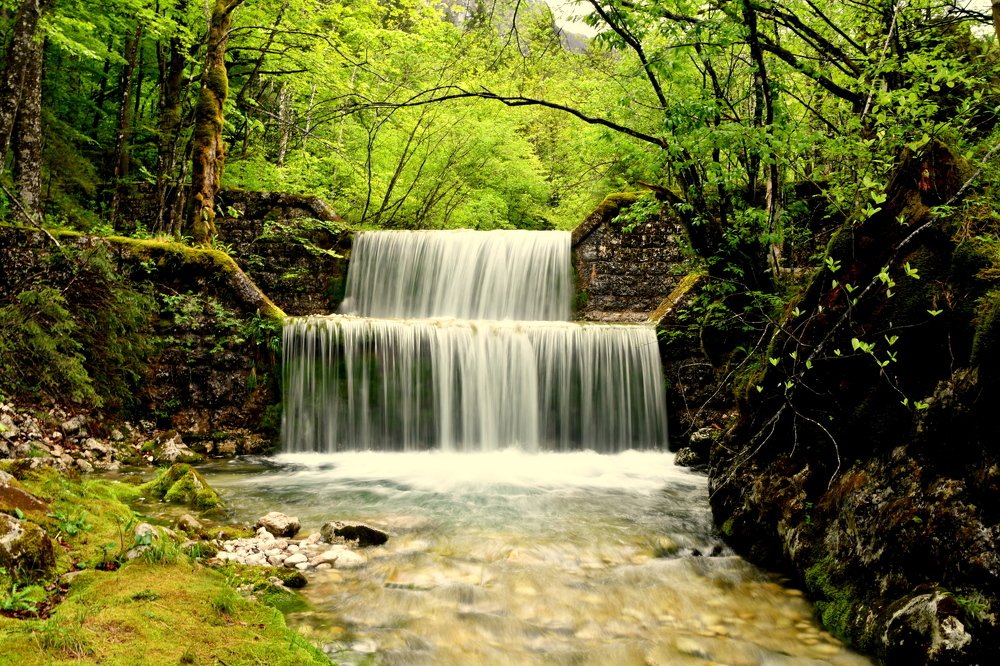 Photograph by Lojze Burja