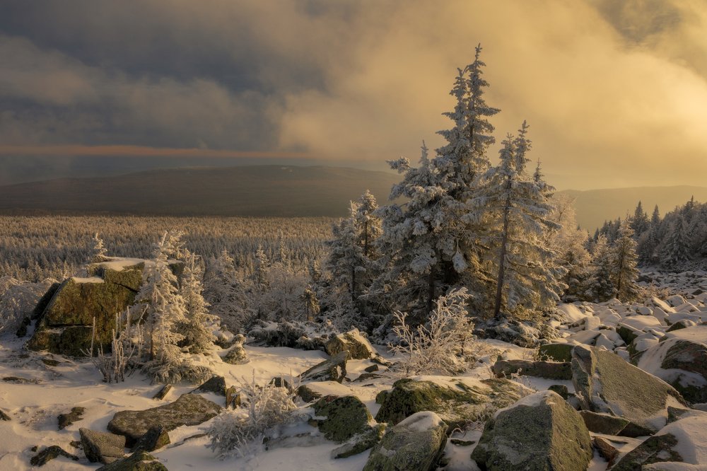 Photograph by Евгений Гецев