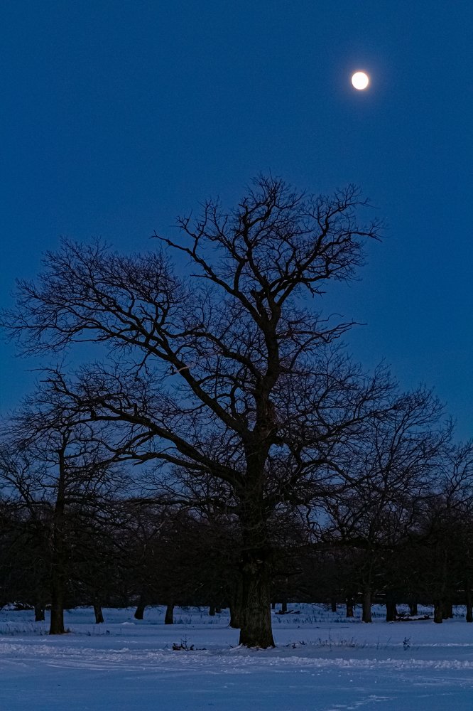 Photograph by Дмитрий Чудинин