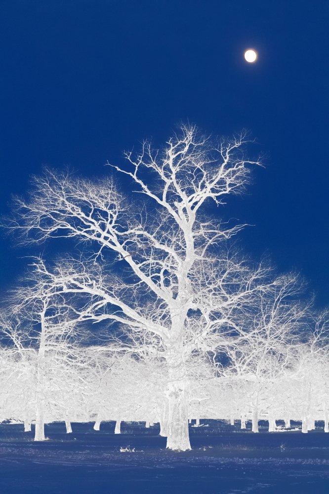 Photograph by Дмитрий Чудинин