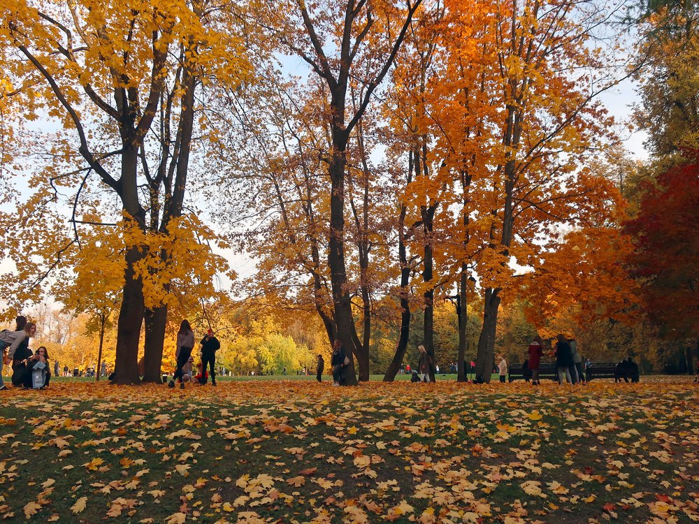 Photograph by Ольга Стоун