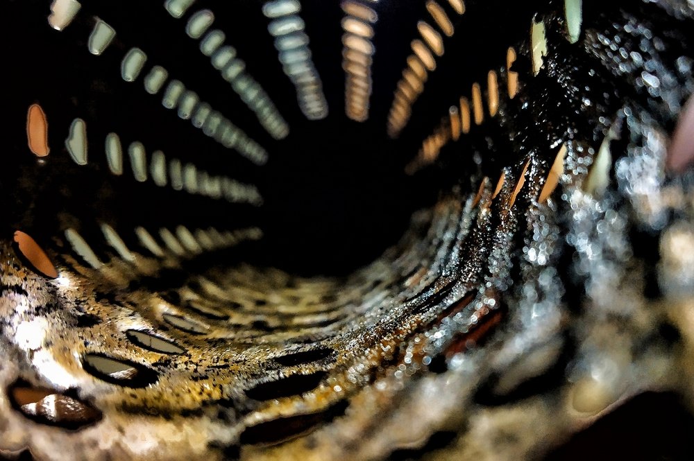 Photograph by Subrata Parui