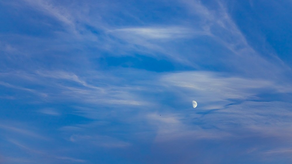 Photograph by Юлия Долгина