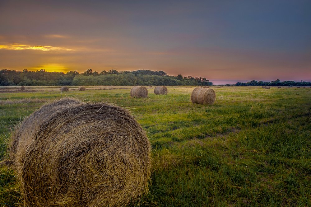 Straw bales