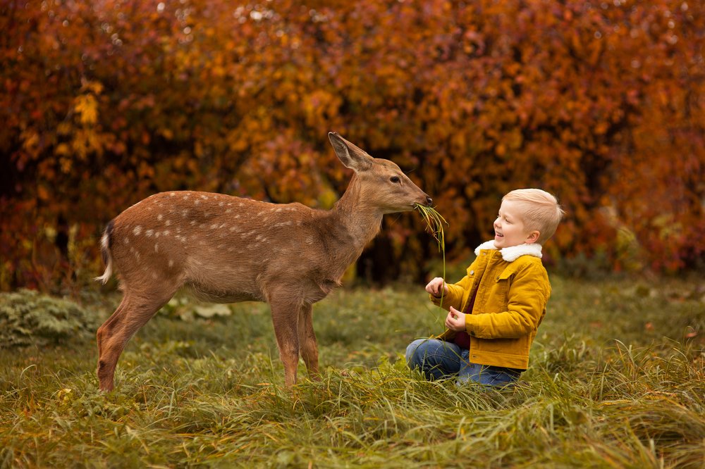 Photograph by Алена Федосова