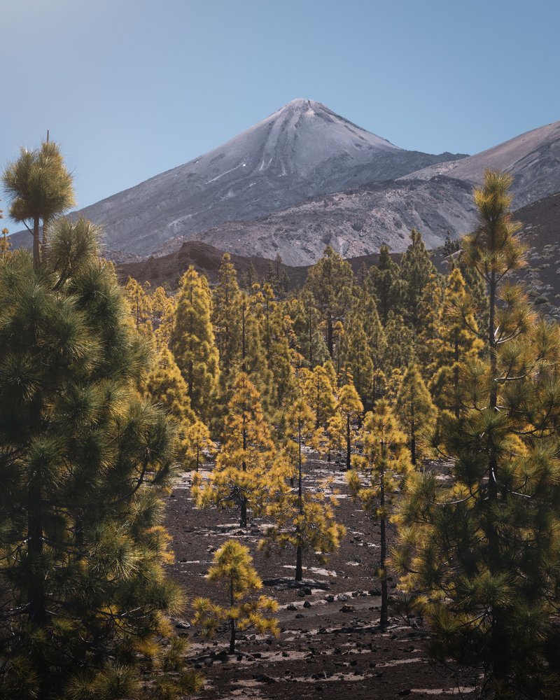 Фотография автора Андрей Барбиер