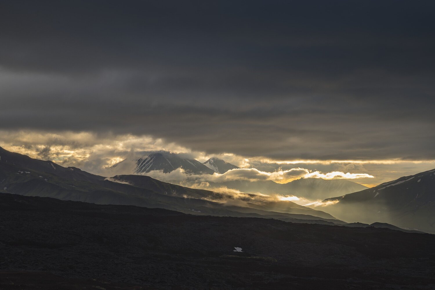 Photo #3919234