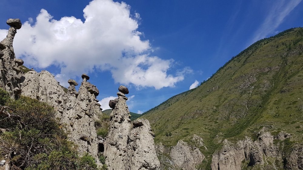 долина грибов. горный Алтай