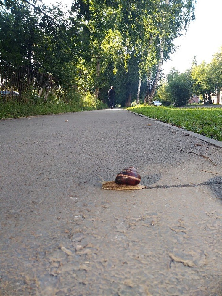 Photograph by Михеева Олеся