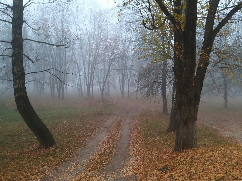 Photograph by Марина Сорокина