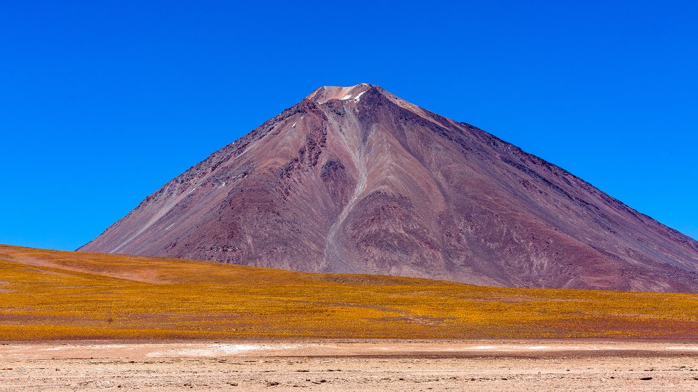 Фотография автора Carlos Gianoli