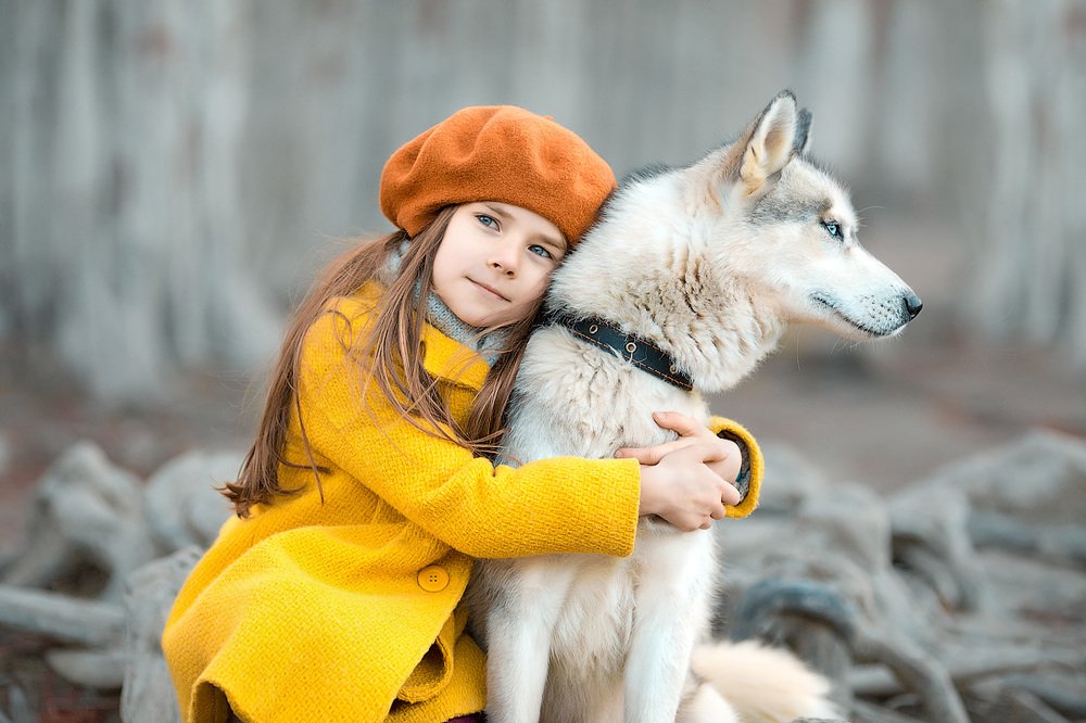 Фотография автора Францева Ольга