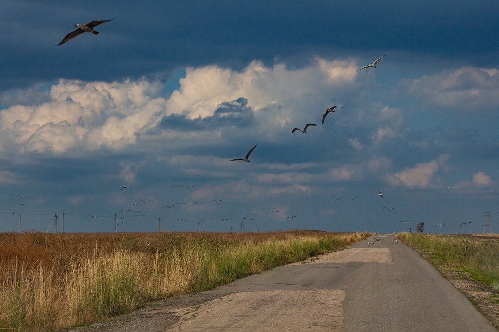 Фотография автора Светлана Котлярова
