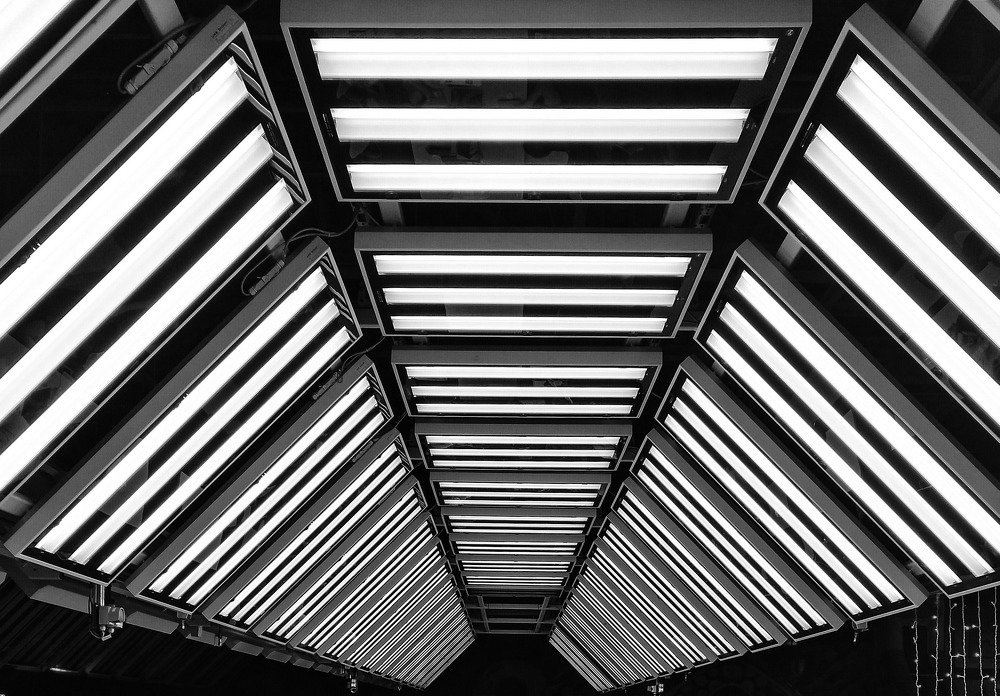 Photograph by Виктория Кузина