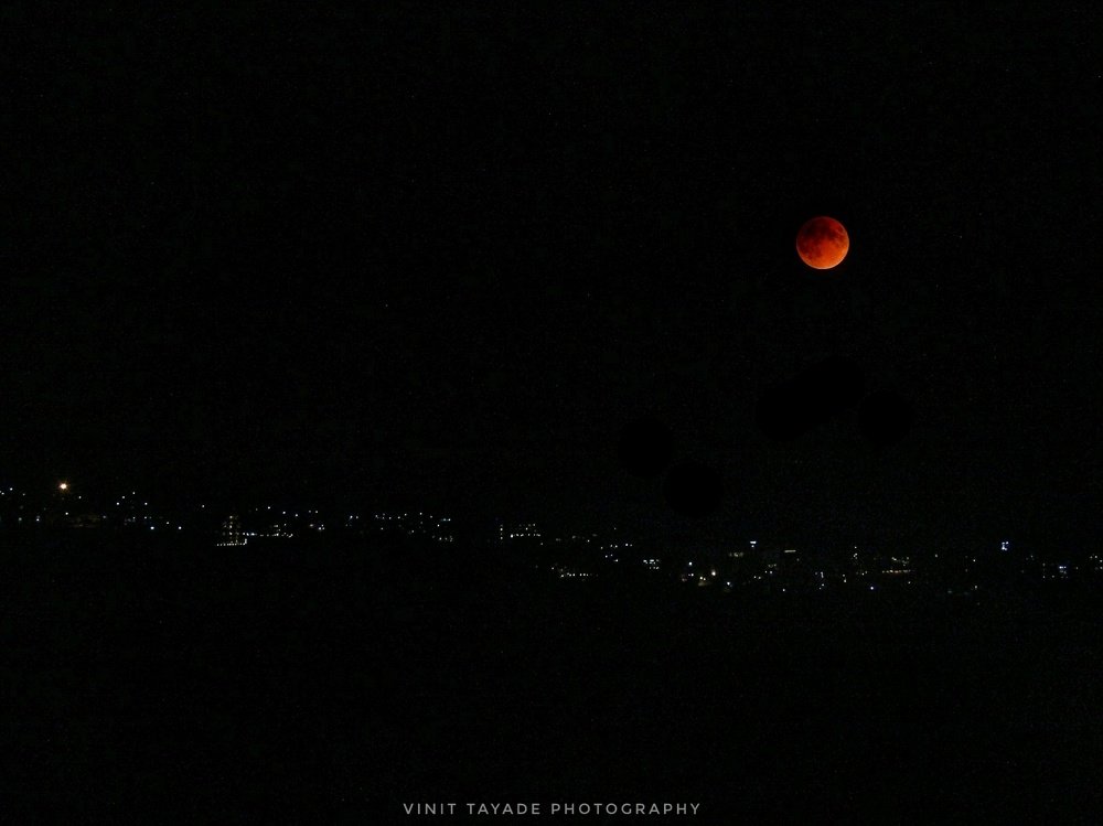 Фотография автора Vinit Tayade