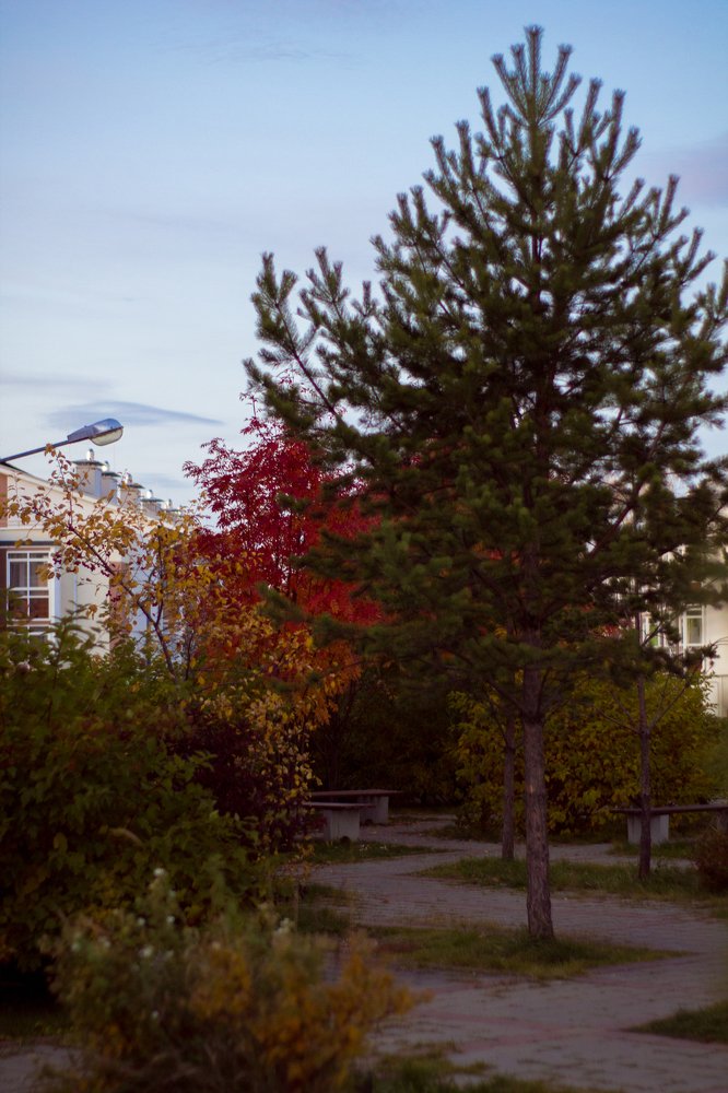 Photograph by Лазарева Анна Игоревна