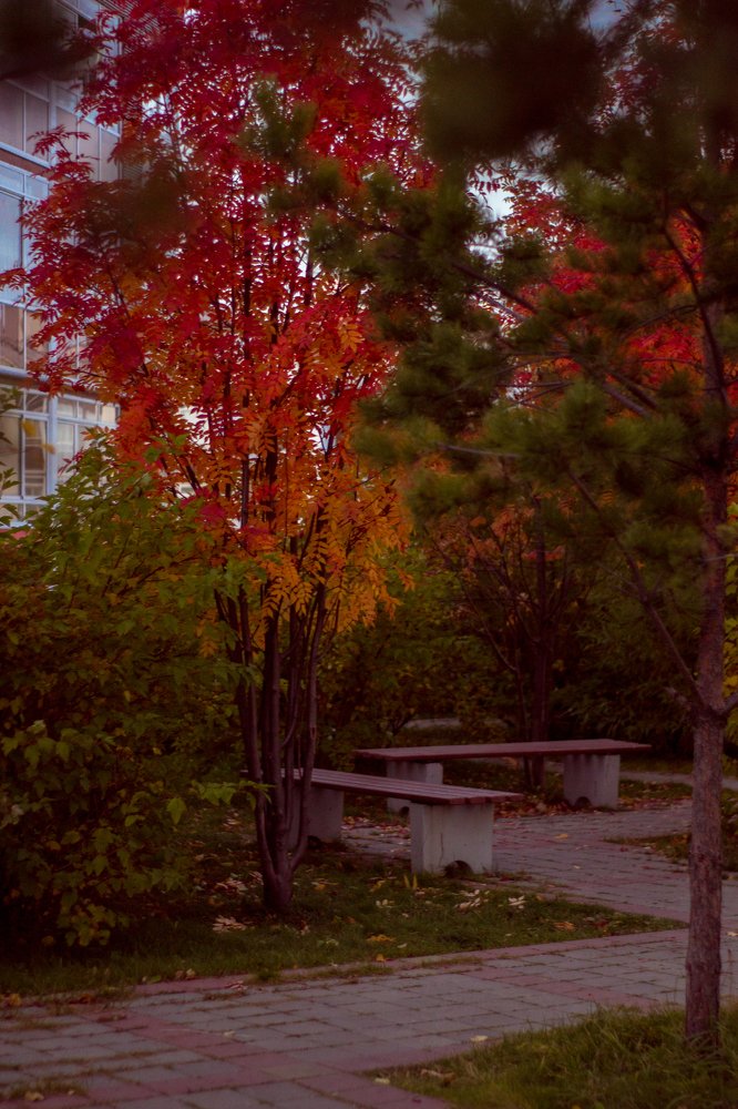 Photograph by Лазарева Анна Игоревна