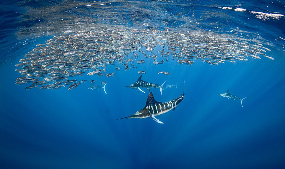 Photograph by Taeyup Kim