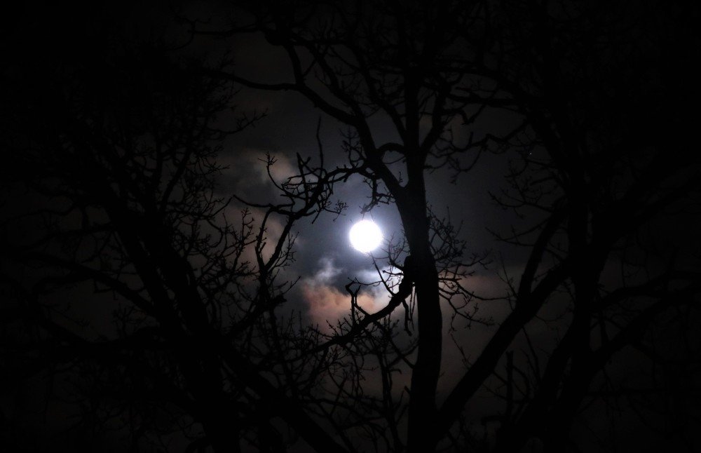 Photograph by Любовь