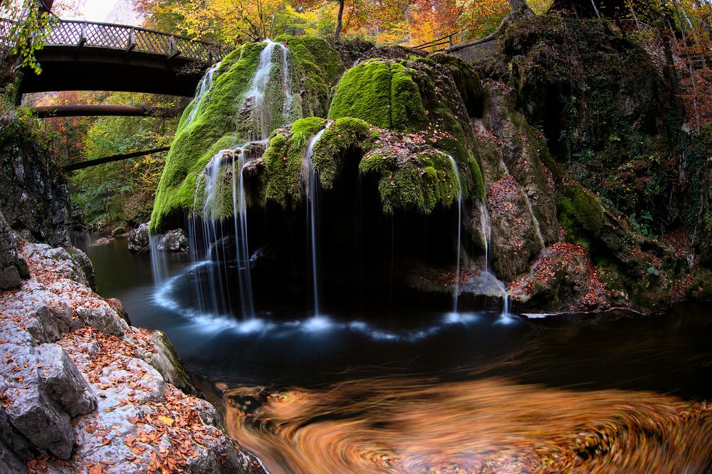 Photograph by Alexey Fedorov