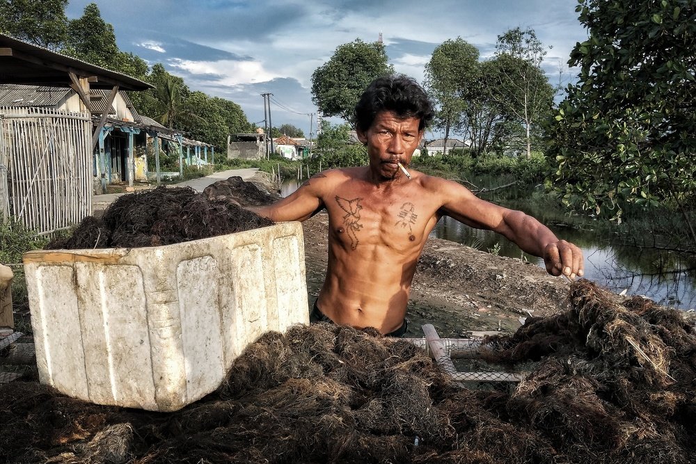 Petani Rumput Laut Indonesia
