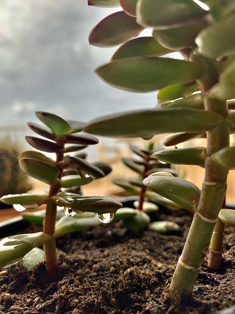 Photograph by Лука Вуисић