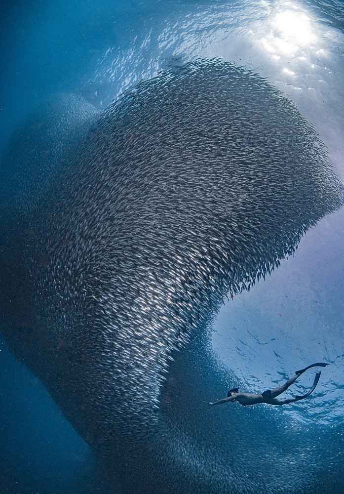 Photograph by Taeyup Kim