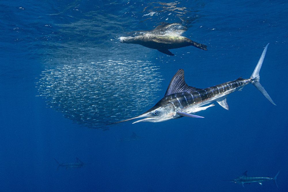 Photograph by Taeyup Kim