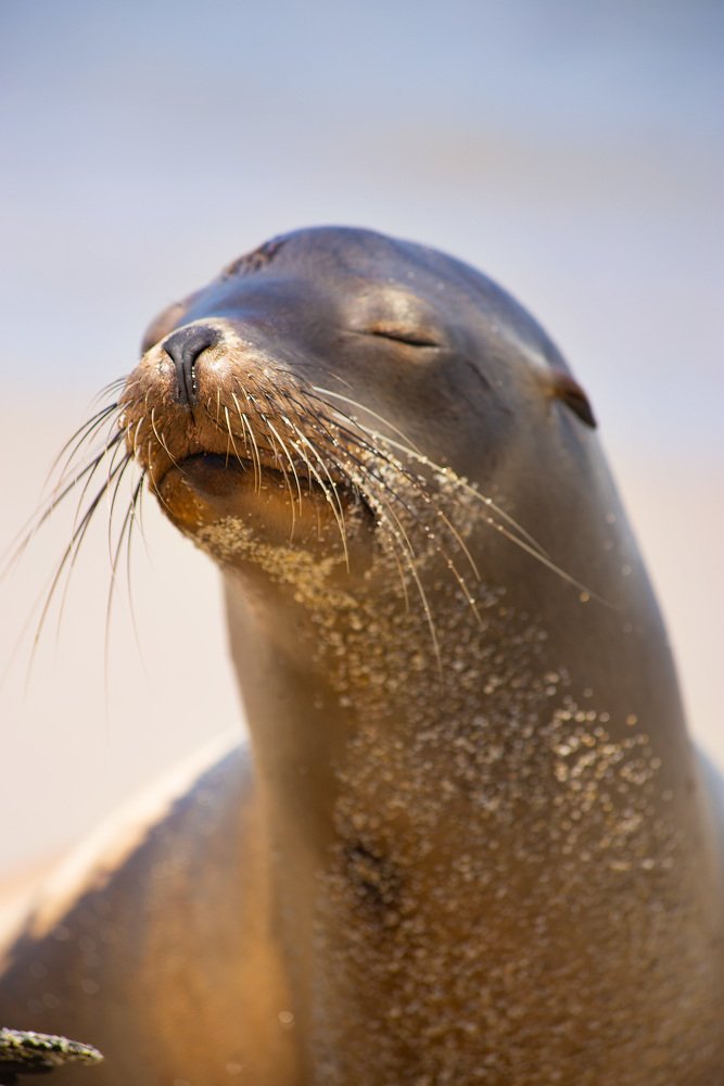 Photograph by Lana Anferow