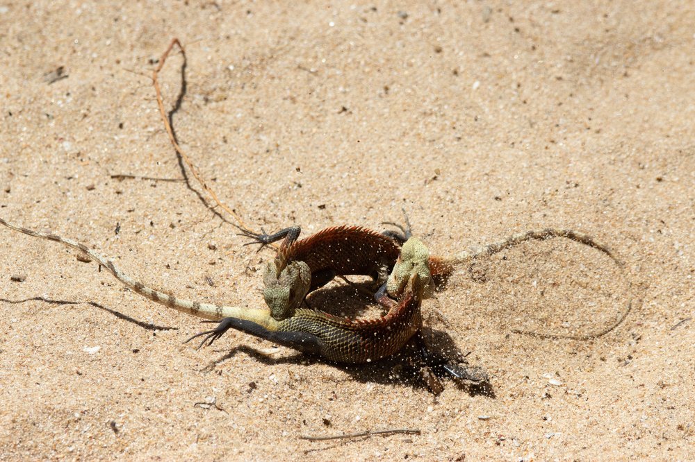 Photograph by Сергей Сыресин