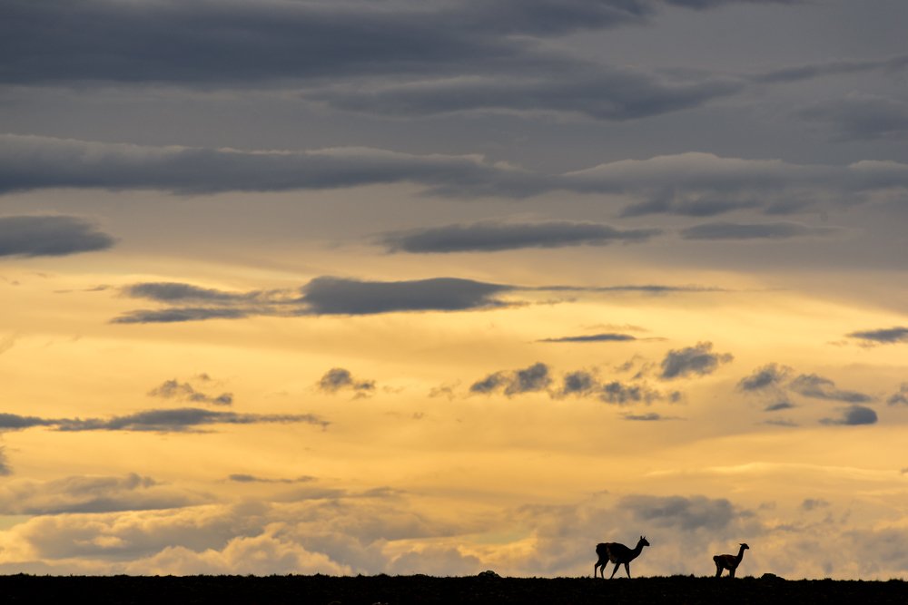 Фотография автора Cristian Dunivicher