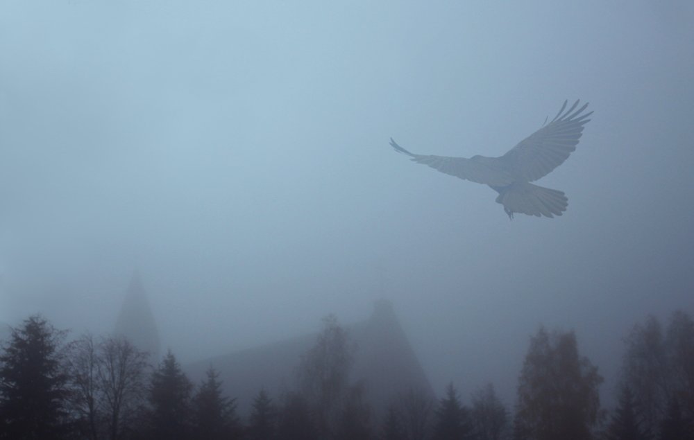 Photograph by Henrikas Mackevicius