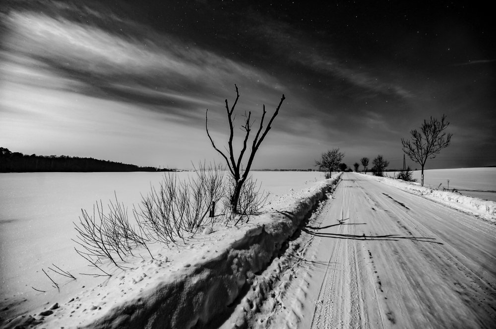 empty bush, empty road