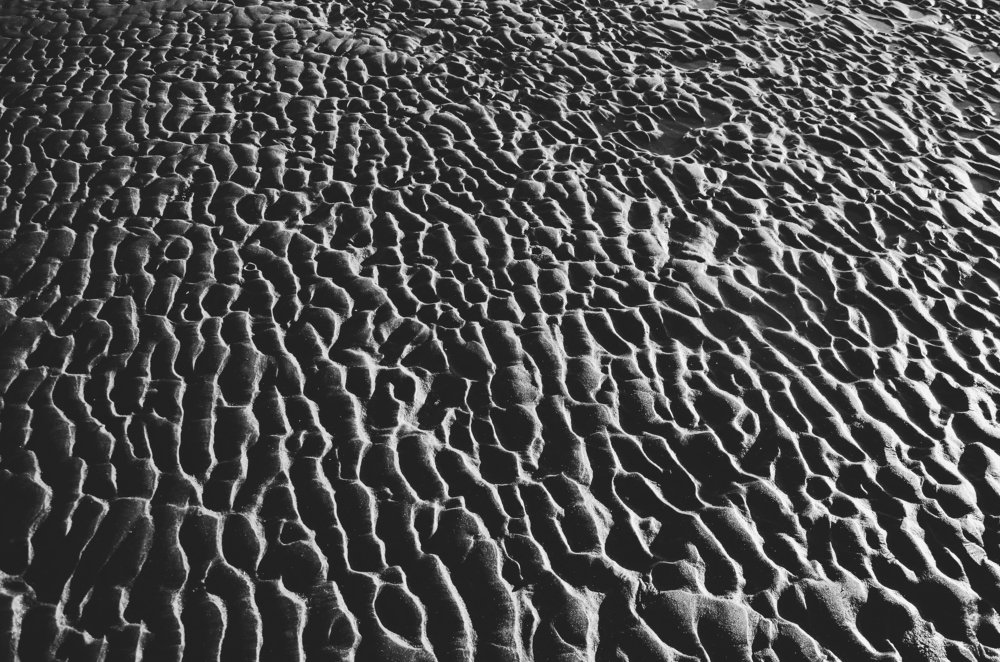 Photograph by Fernando Sileo