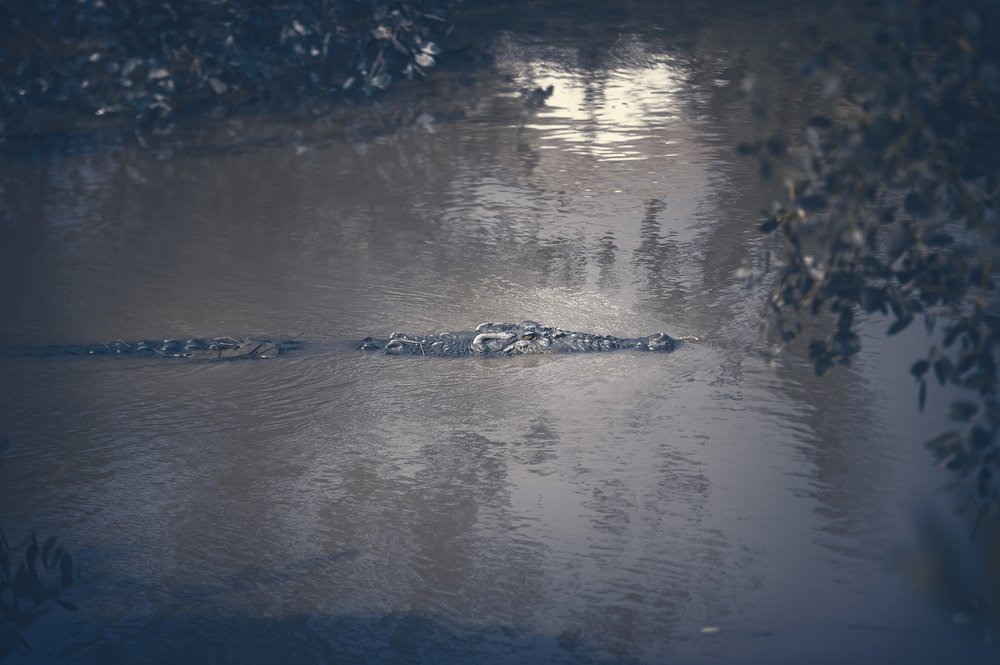 Photograph by Nunong Tindin