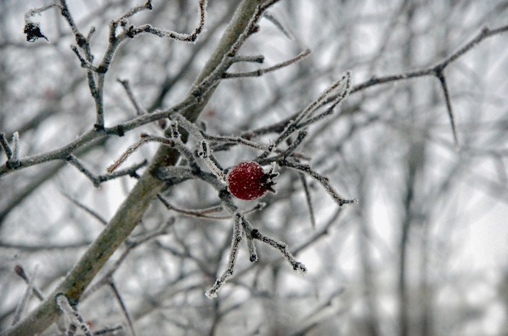 Photograph by Nikitina Tatiana