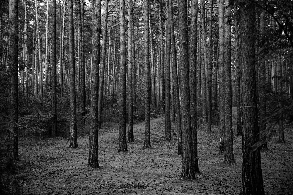 Photograph by Юлия Миронова