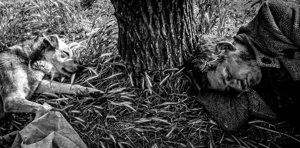 No soy perro pero, wow!