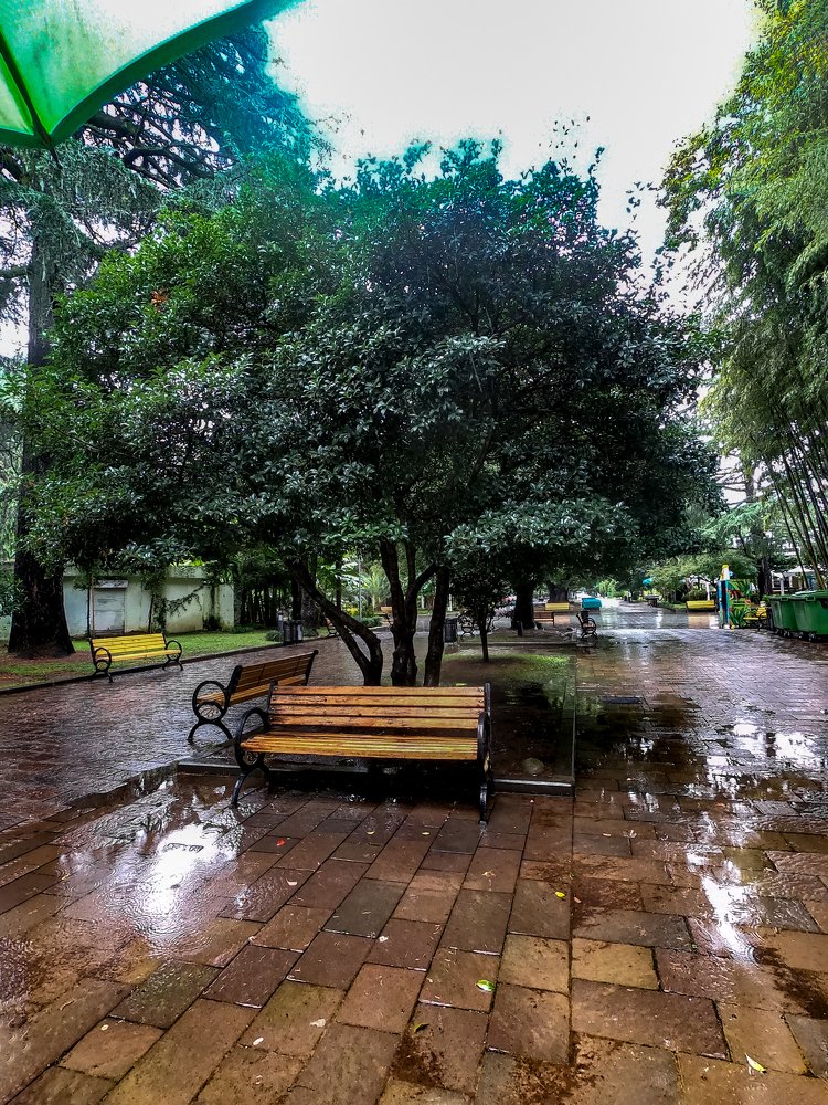 Photograph by vladimir khukhunalshvili