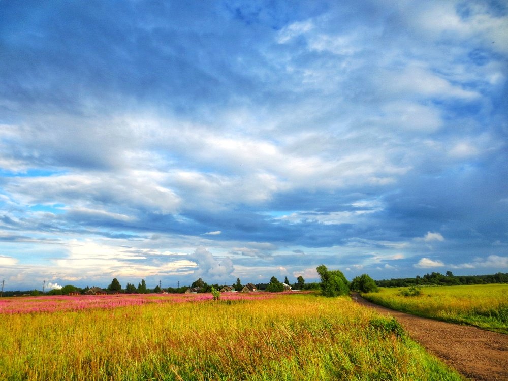 Photograph by Светлана Гончарова