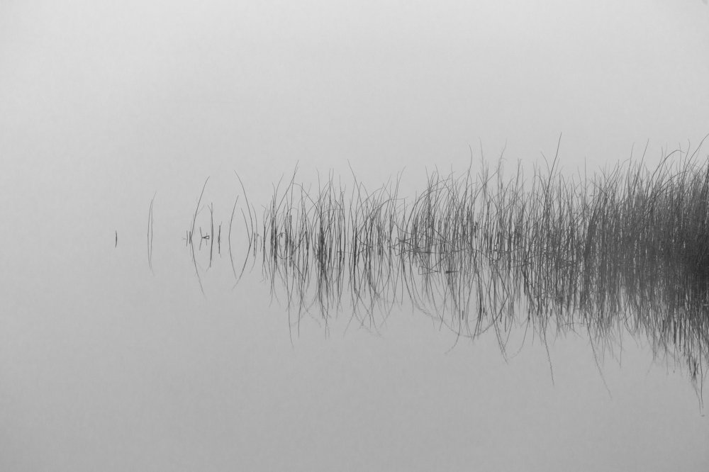 Фотография автора Андрей Логвинович