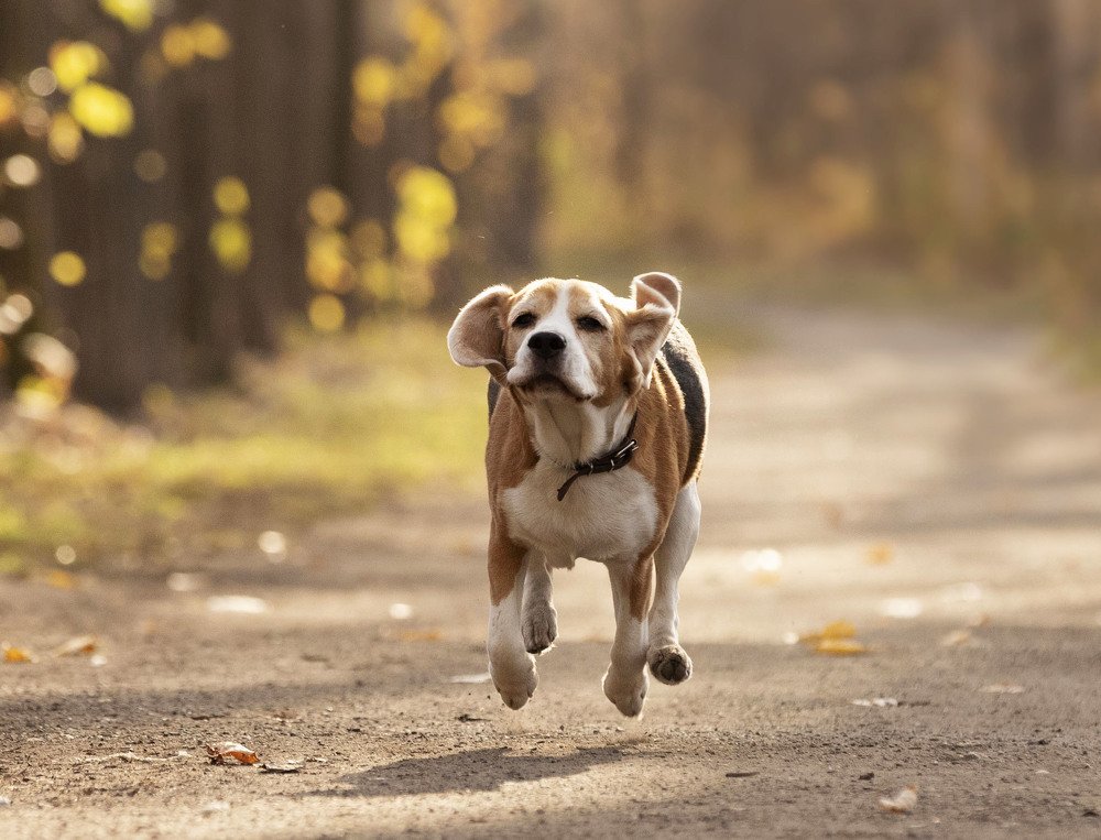 Photograph by ИРЕНА Федорова