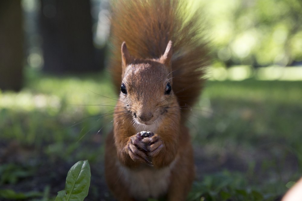 Photograph by Сергей Анискович