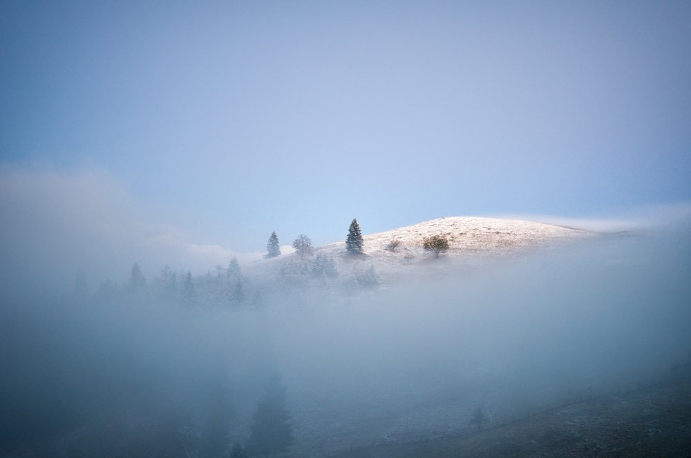 Шелест утренних звезд.