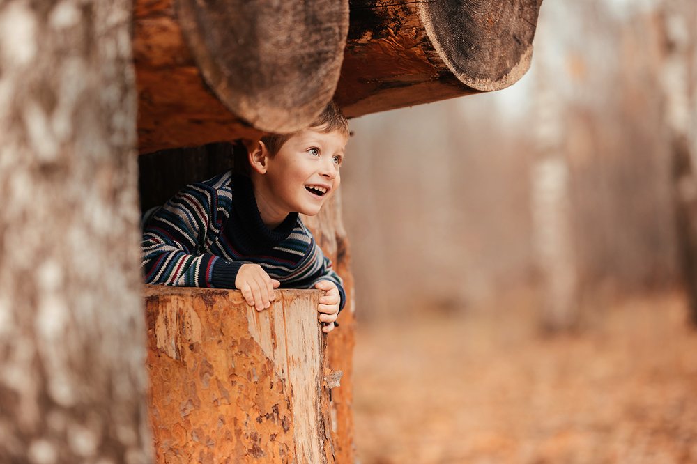 Как-то раз в лесу