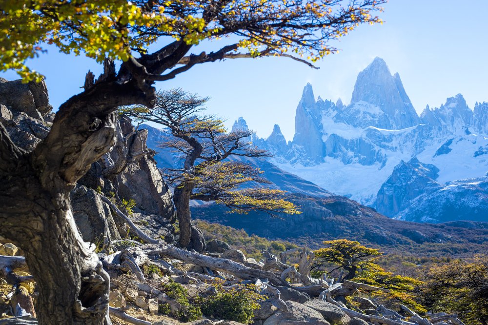 Гора Фицрой. Аргентина