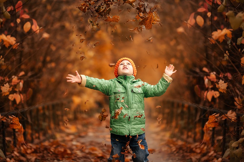 Photograph by Светлана Шенгелия