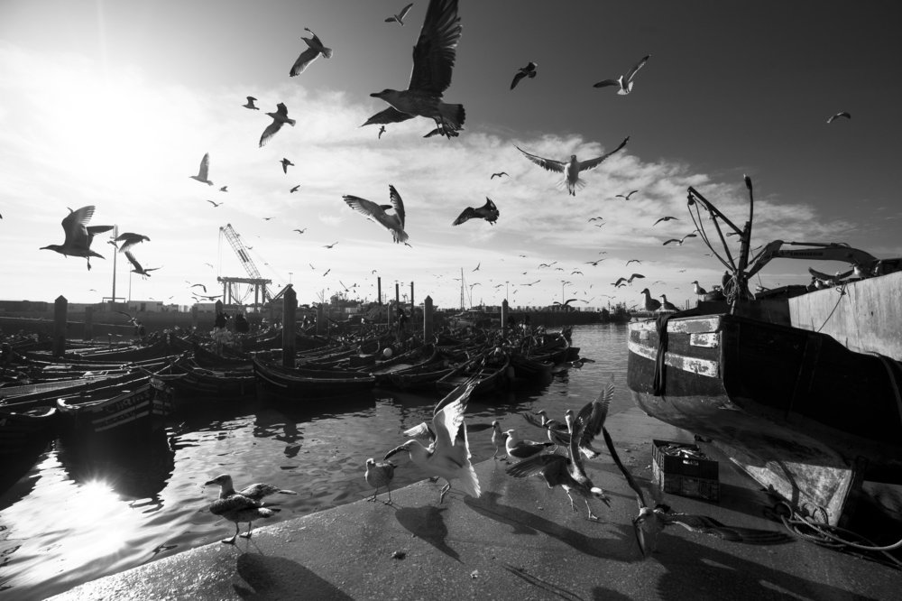 Раннее утро в порту